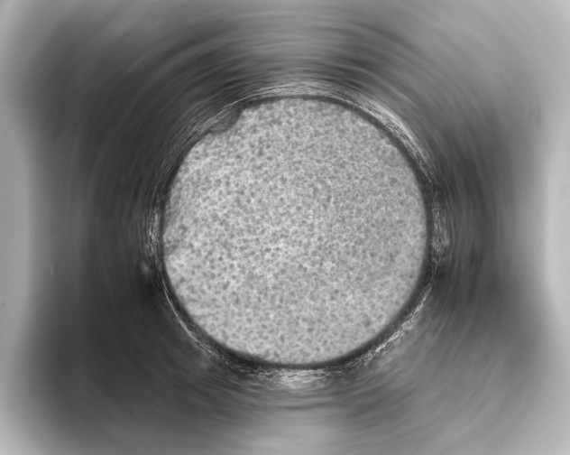 X0000095670849200802051229