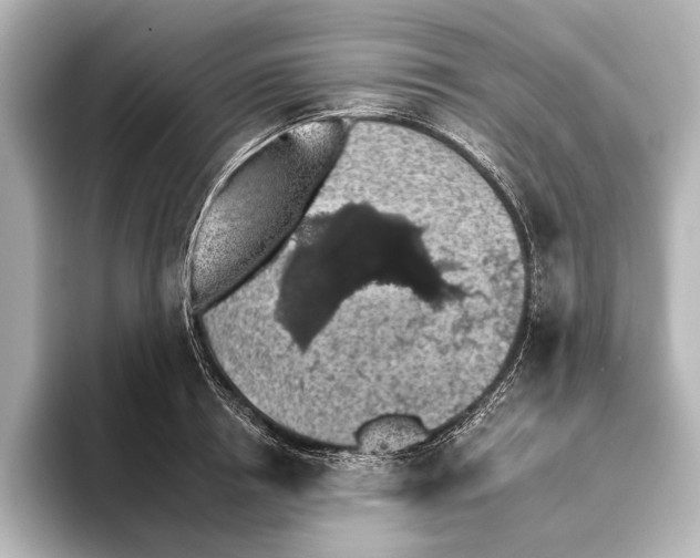 X0000095670850200802051229