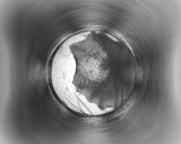 X0000095670851200802051229