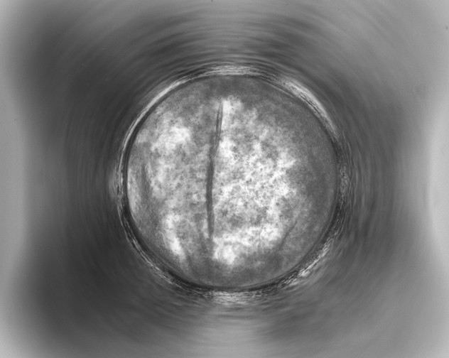 X0000095670852200802051229