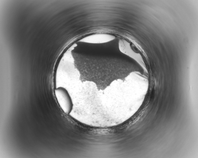 X0000095670853200802051229