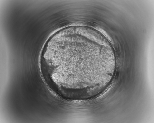 X0000095670854200802051229