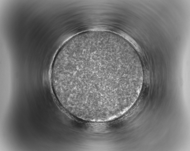 X0000095670856200802051229