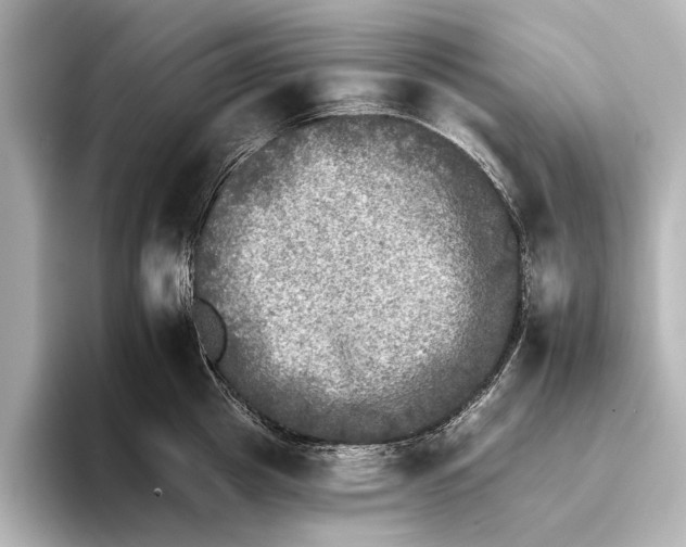 X0000095670857200802051229