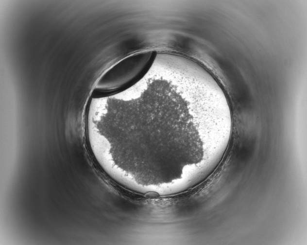 X0000095670858200802051229