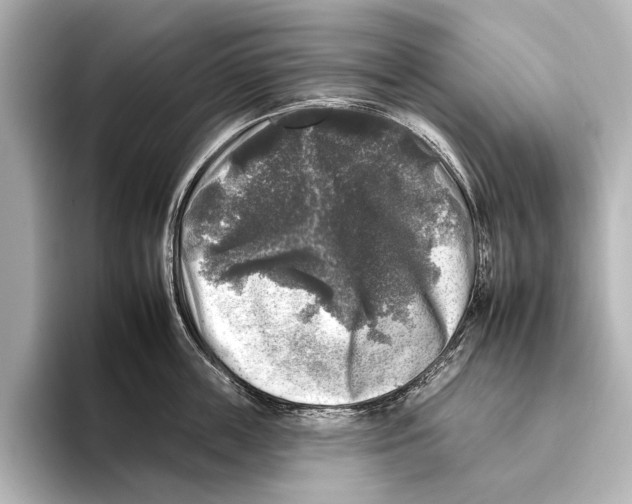 X0000095670859200802051229