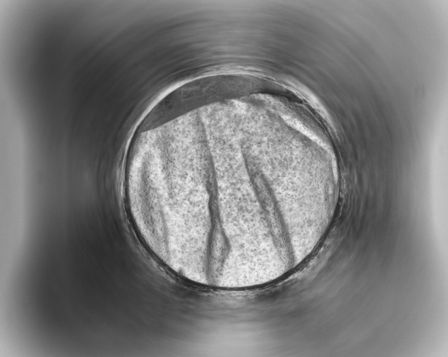 X0000095670860200802051229