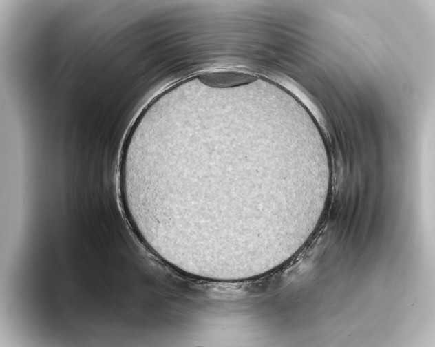 X0000095670861200802051229