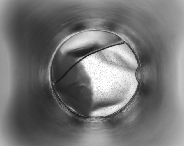 X0000095670862200802051229