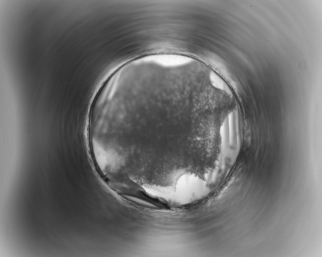 X0000095670863200802051229