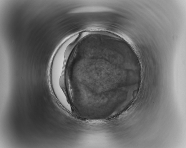 X0000095670864200802051229