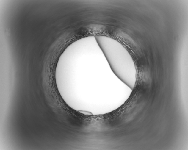 X0000095670865200802051228