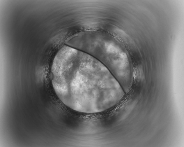 X0000095670867200802051228