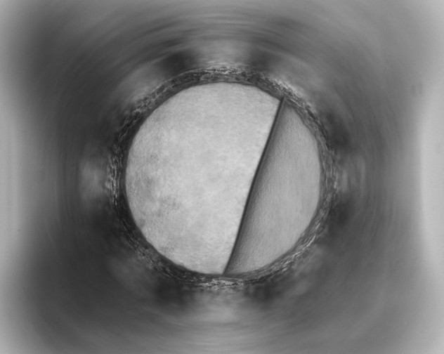 X0000095670869200802051228