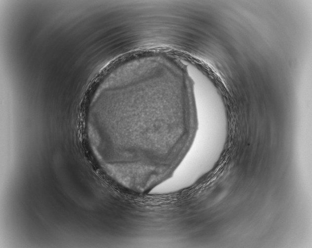 X0000095670871200802051228