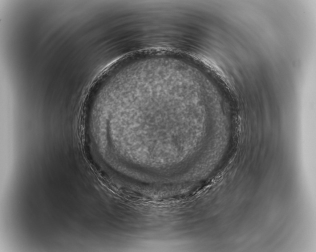 X0000095670872200802051228