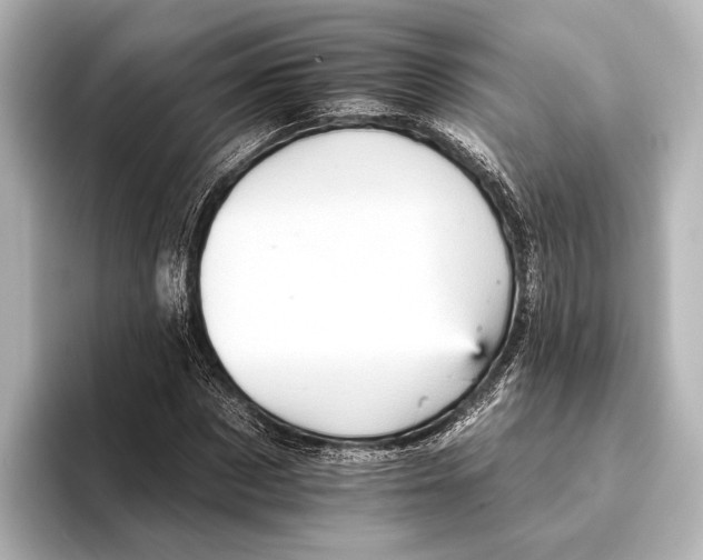 X0000095670873200802051228