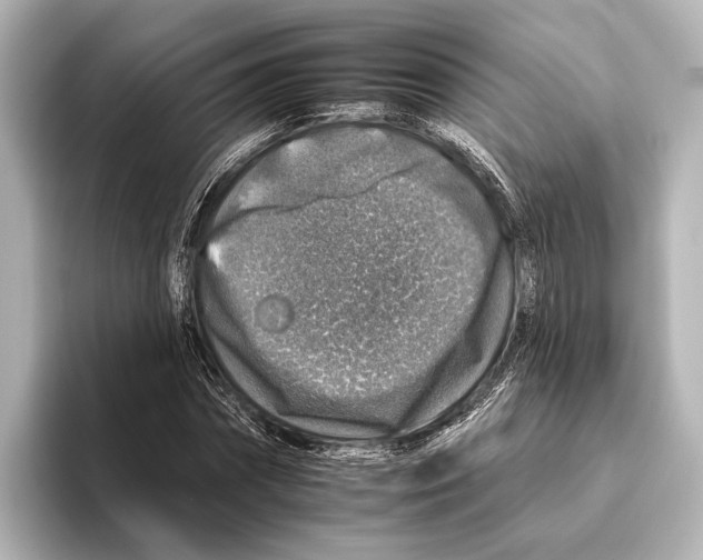 X0000095670874200802051228