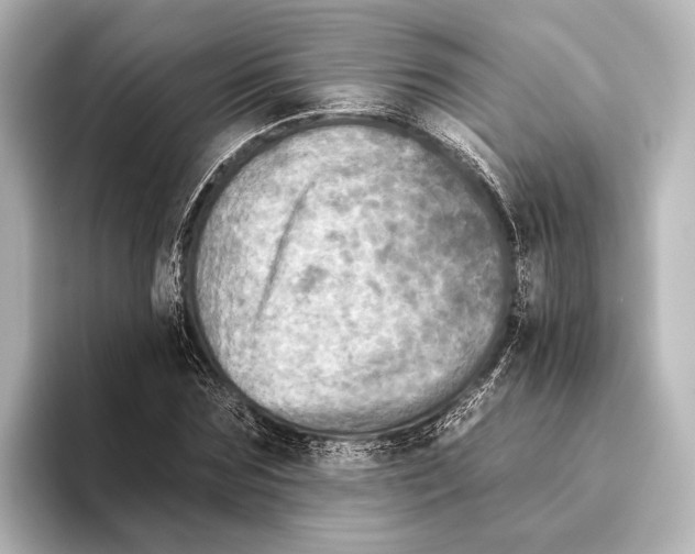 X0000095670875200802051228