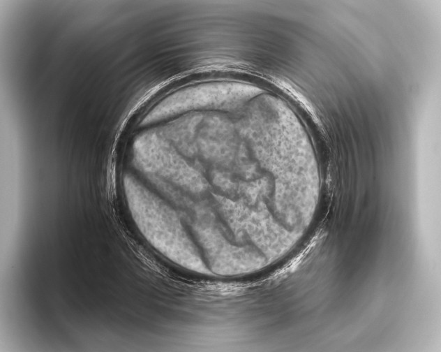 X0000095670877200802051228