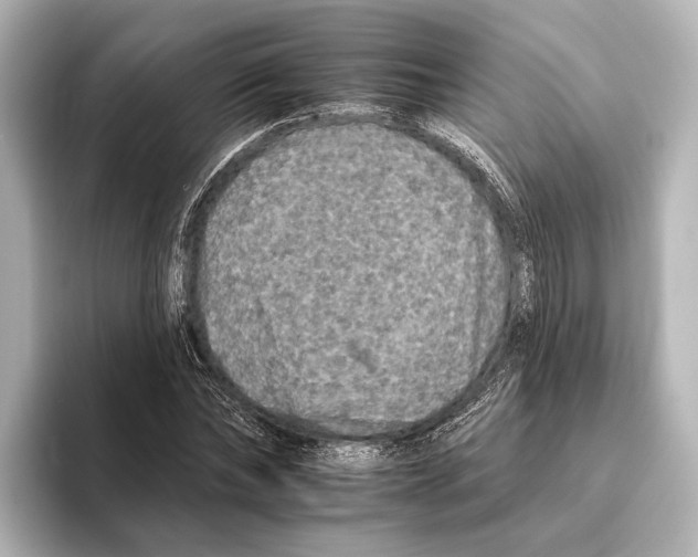 X0000095670878200802051228