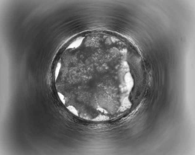 X0000095670879200802051228