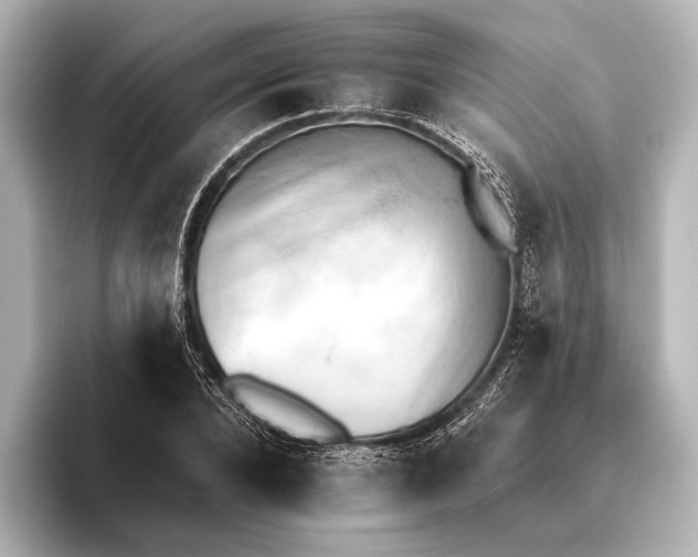 X0000095670880200802051228