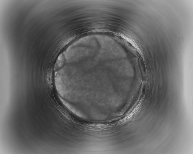 X0000095670881200802051228