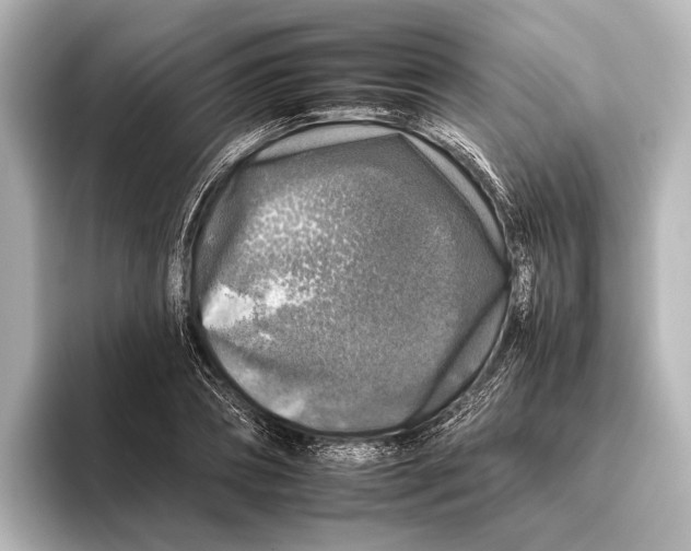 X0000095670882200802051228