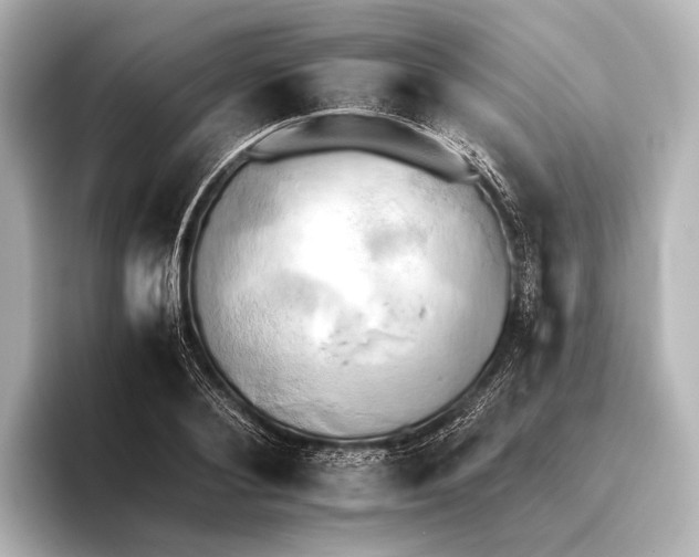 X0000095670884200802051228