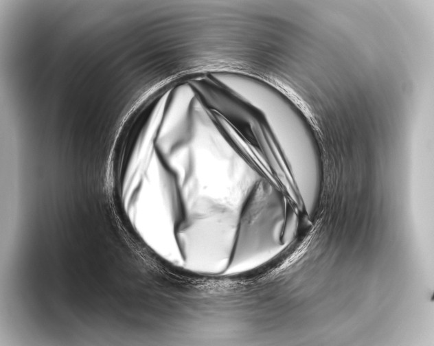 X0000095670885200802051228