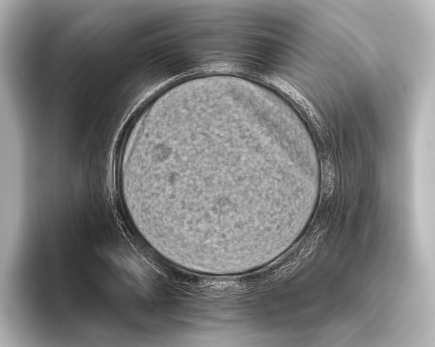 X0000095670886200802051228