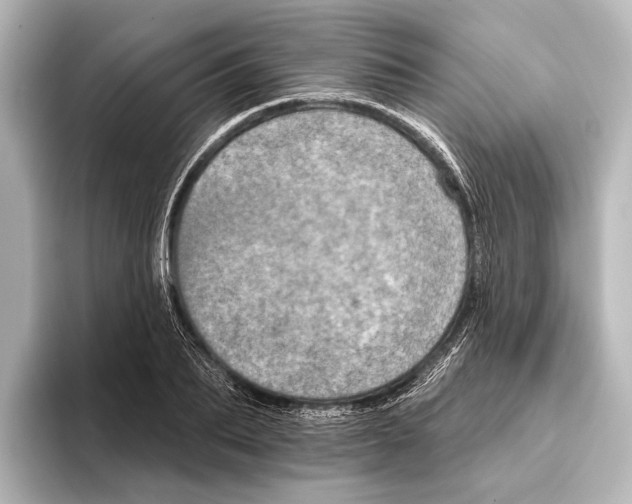 X0000095670887200802051228