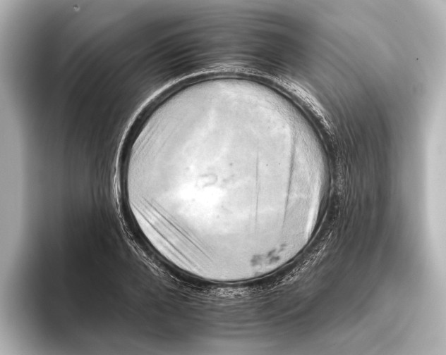 X0000095670888200802051228