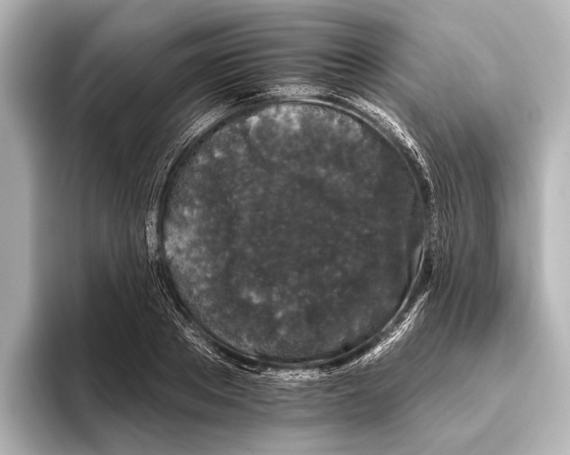 X0000095670889200802051228