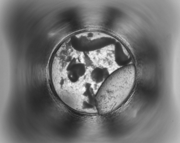 X0000095670891200802051228