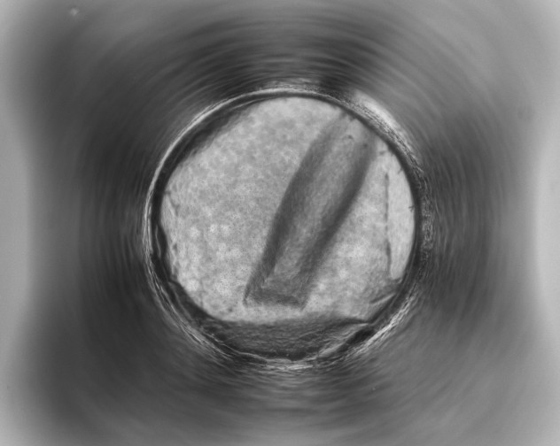 X0000095670892200802051228