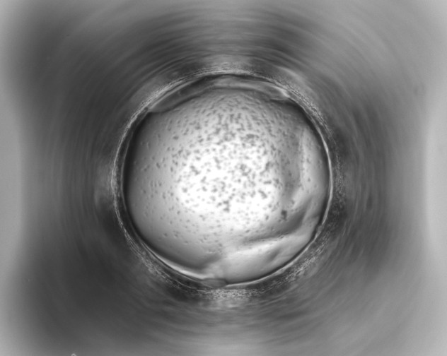 X0000095670893200802051228