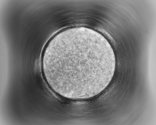 X0000095670894200802051228