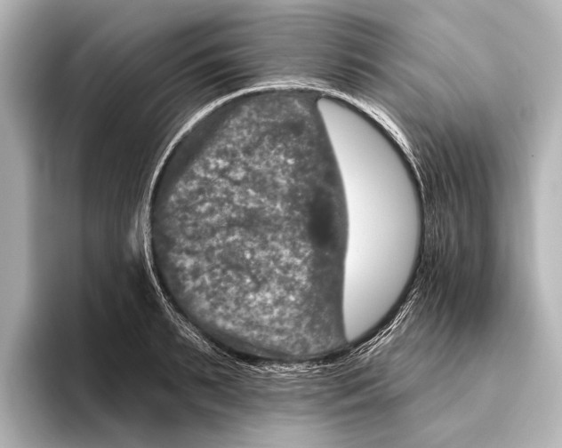 X0000095670895200802051228