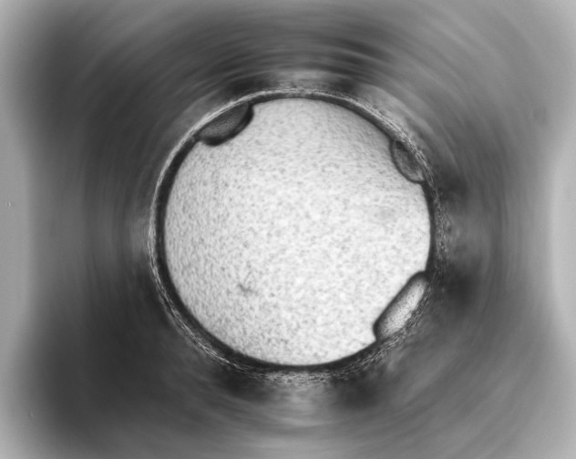 X0000095670896200802051228