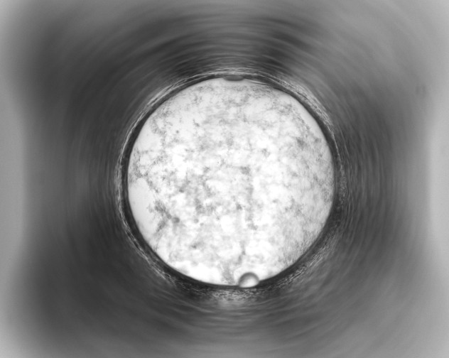 X0000095670898200802051228