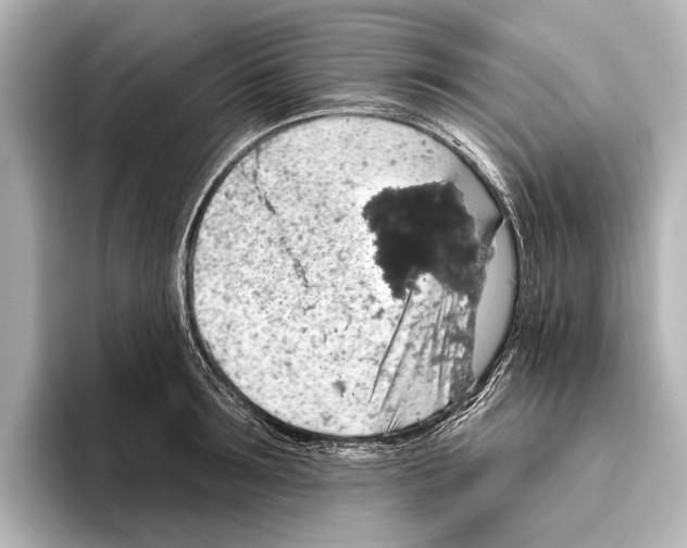 X0000095670899200802051228