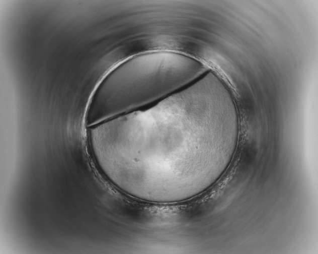 X0000095670900200802051227