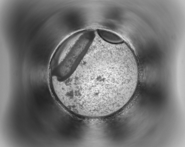 X0000095670903200802051227