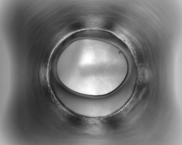 X0000095670904200802051227