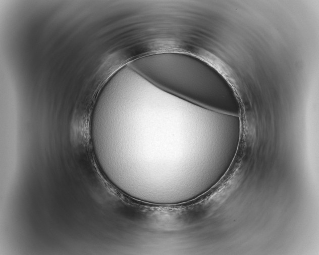 X0000095670905200802051227