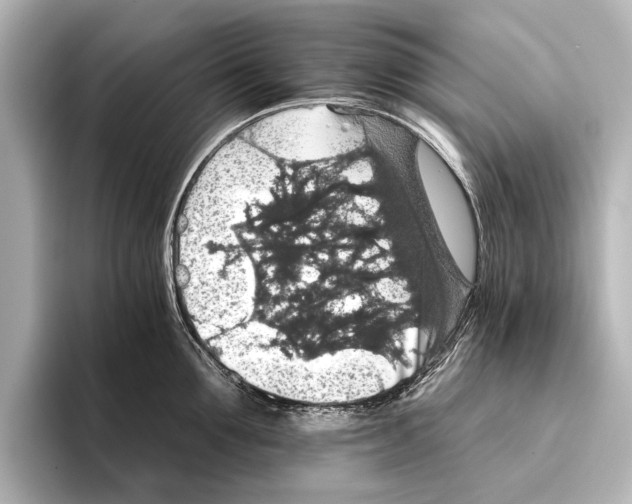 X0000095670907200802051227