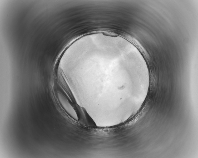 X0000095670908200802051227