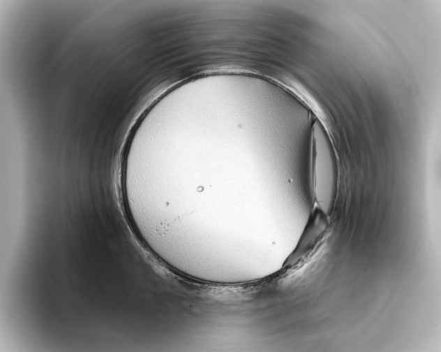 X0000095670909200802051227